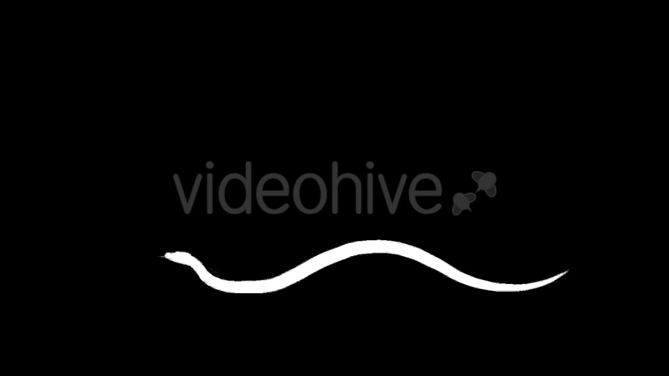 Snake Silhouettes 5 Pack Videohive 21220218 Motion Graphics Image 7
