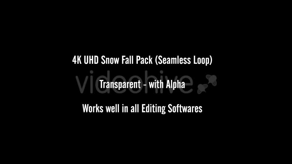 Snow Videohive 20934495 Motion Graphics Image 1