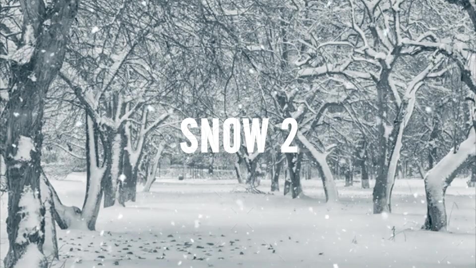 Snow Videohive 20934495 Motion Graphics Image 6