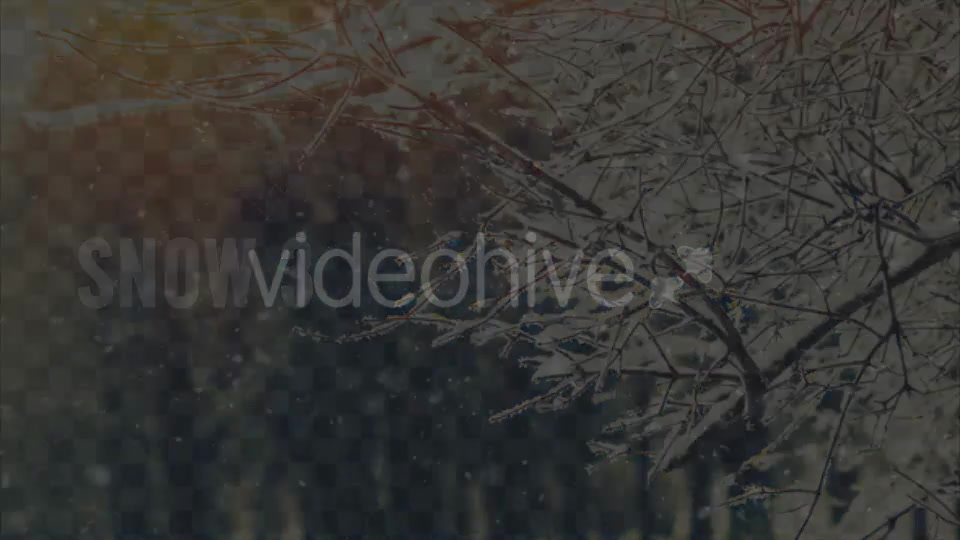 Snow Videohive 20934495 Motion Graphics Image 9