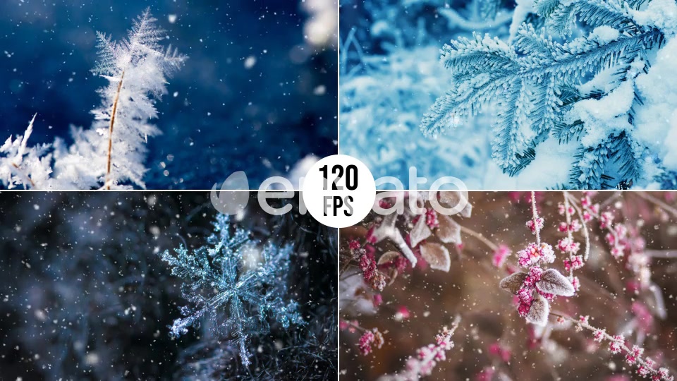 Snow Videohive 22728908 Motion Graphics Image 5