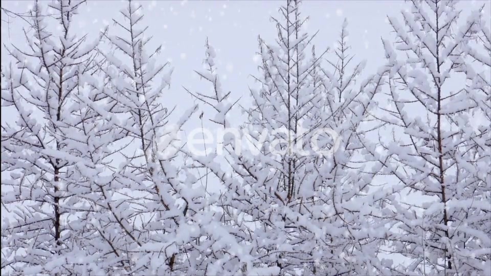 Snow Videohive 25272622 Motion Graphics Image 3