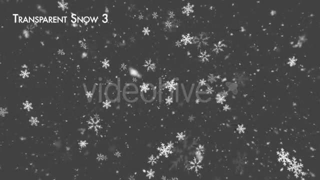 Snow and Snow Flakes V2 Videohive 13874055 Motion Graphics Image 6