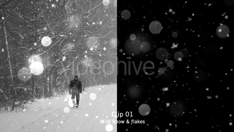 Snow Videohive 18541167 Motion Graphics Image 3
