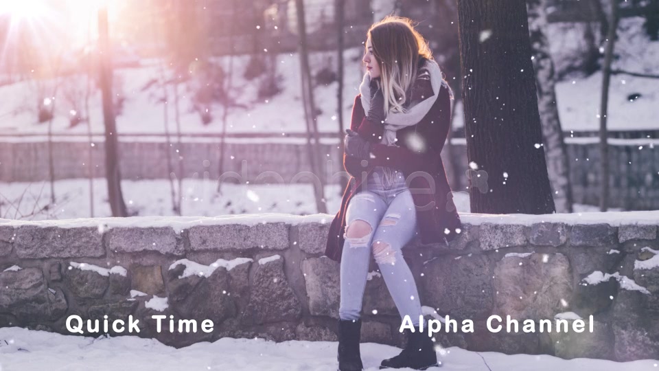 Snow Falling Videohive 21028484 Motion Graphics Image 4
