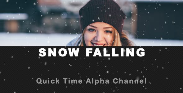 Snow Falling - Download Videohive 21023061