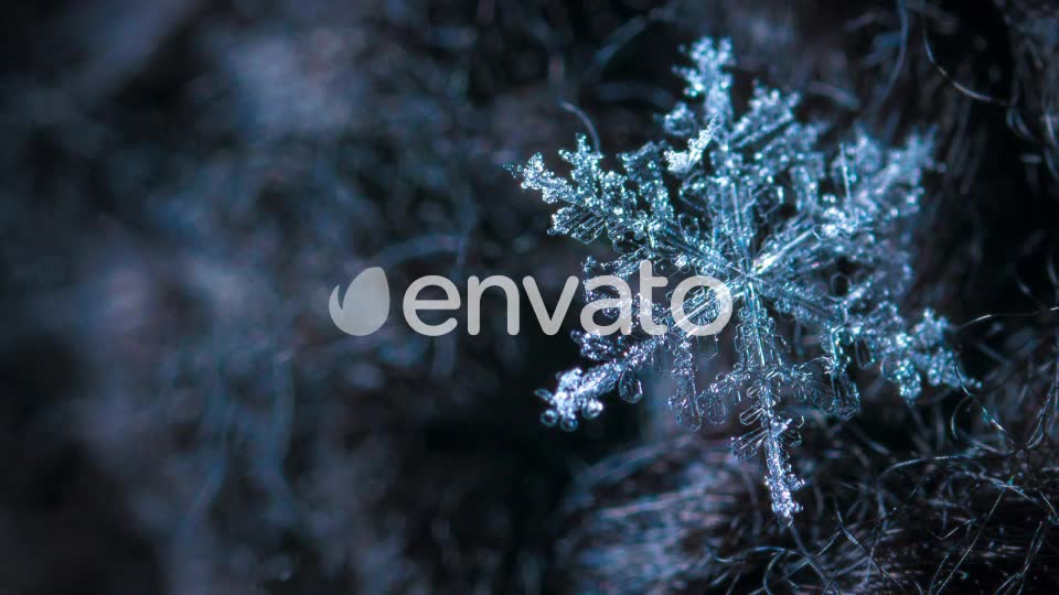 Snow Transitions Videohive 22576088 Motion Graphics Image 2