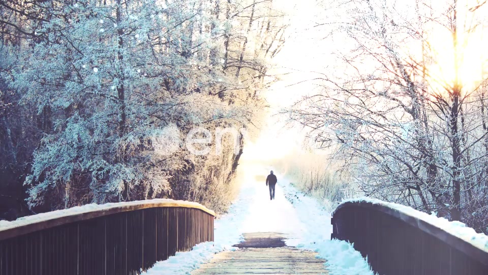 Snow Transitions Videohive 22576088 Motion Graphics Image 5