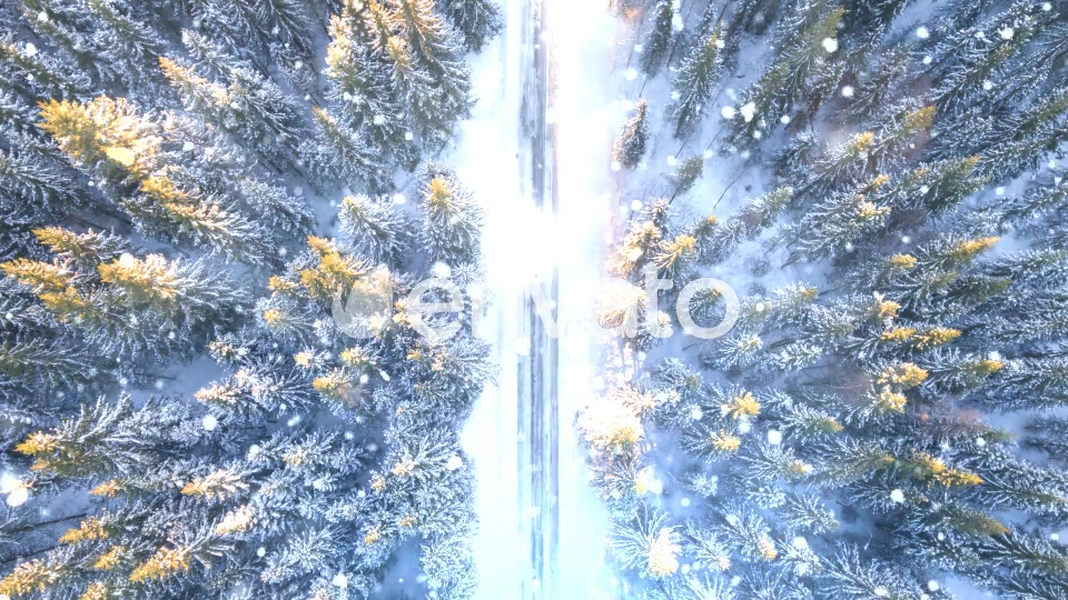 Snow Transitions Videohive 22576088 Motion Graphics Image 6