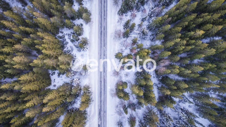 Snow Transitions Videohive 22576088 Motion Graphics Image 7