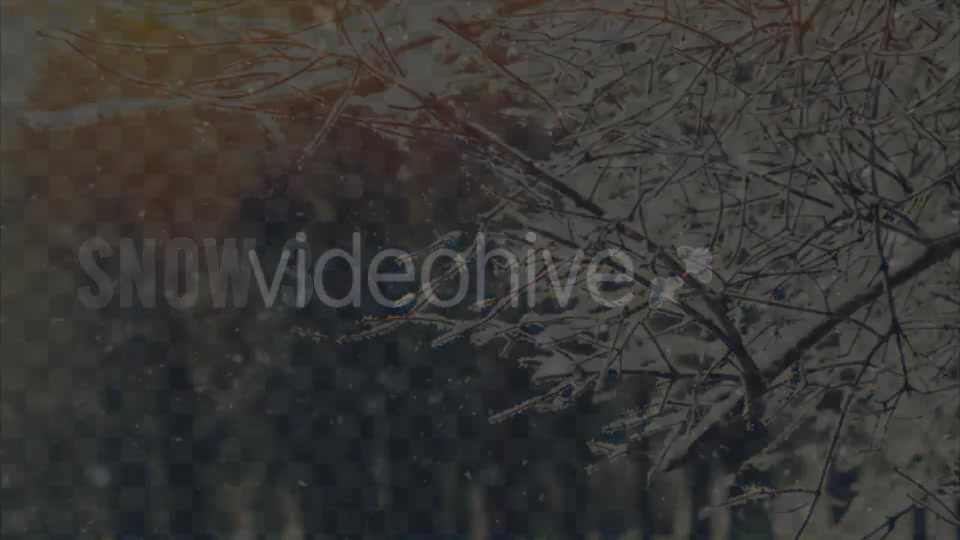 Snow Videohive 20940793 Motion Graphics Image 9