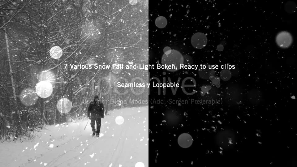 Snow Videohive 18541352 Motion Graphics Image 2