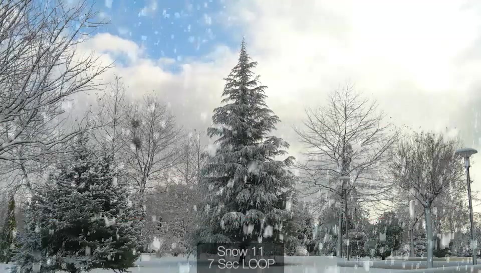 Snow Videohive 19213577 Motion Graphics Image 8