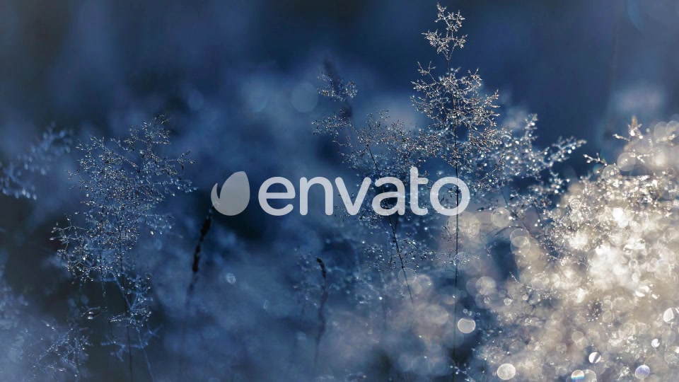 Snowflake Transitions Videohive 22827883 Motion Graphics Image 3