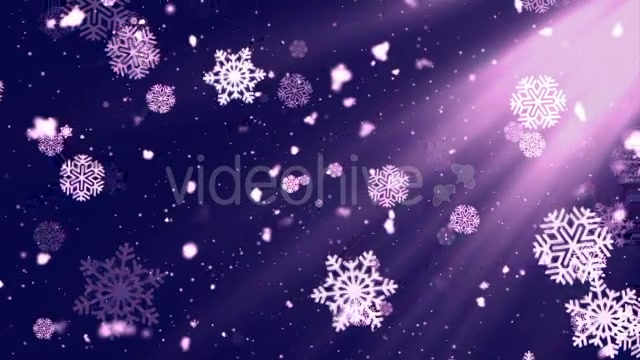 Snowflakes Falling 5 Videohive 19038023 Motion Graphics Image 4