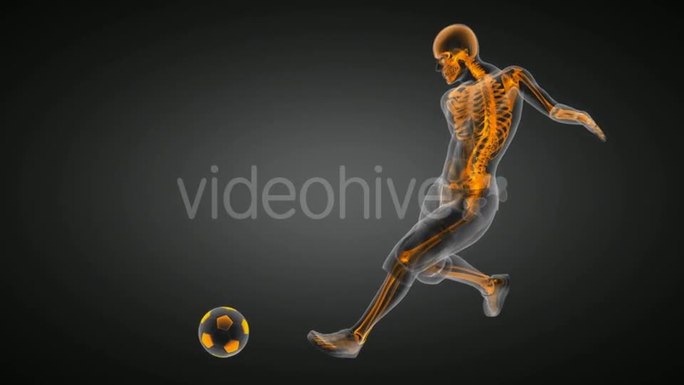 Soccer Game Player Videohive 19056763 Motion Graphics Image 1