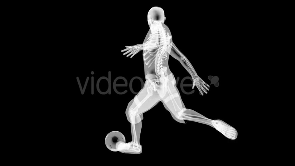 Soccer Game Player Videohive 19056763 Motion Graphics Image 10