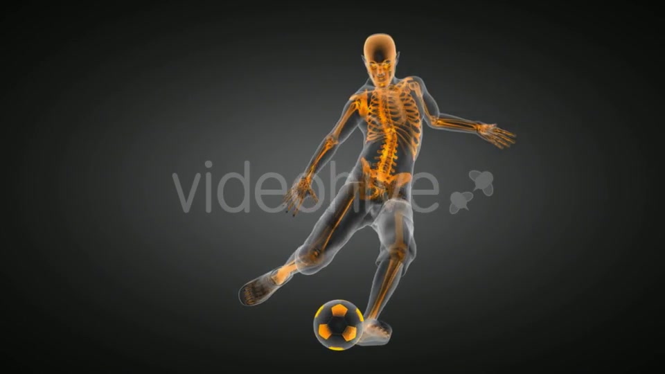 Soccer Game Player Videohive 19056763 Motion Graphics Image 2