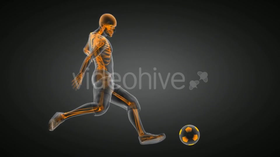 Soccer Game Player Videohive 19056763 Motion Graphics Image 3