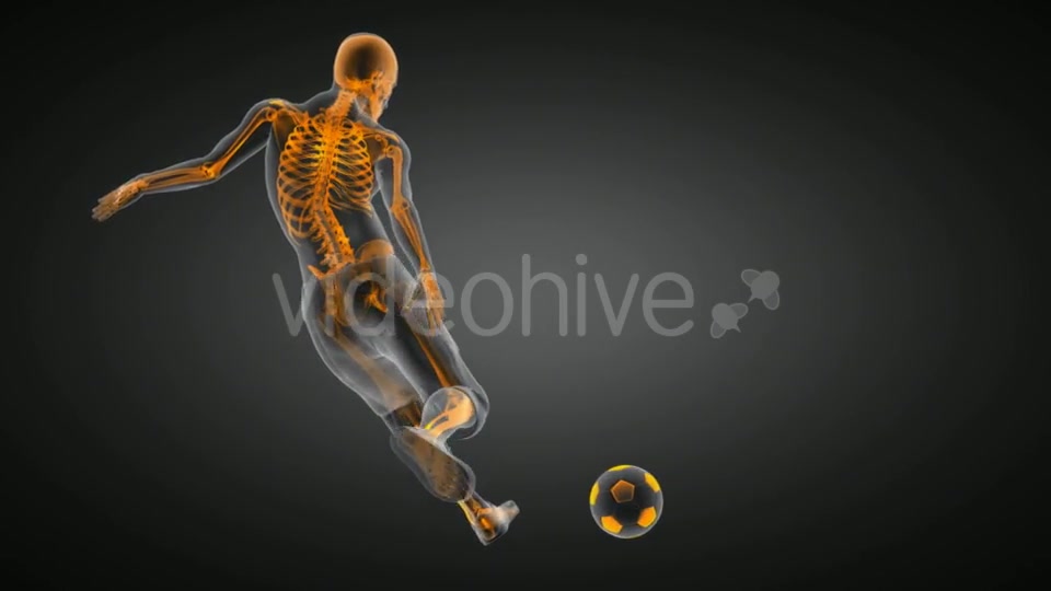 Soccer Game Player Videohive 19056763 Motion Graphics Image 4