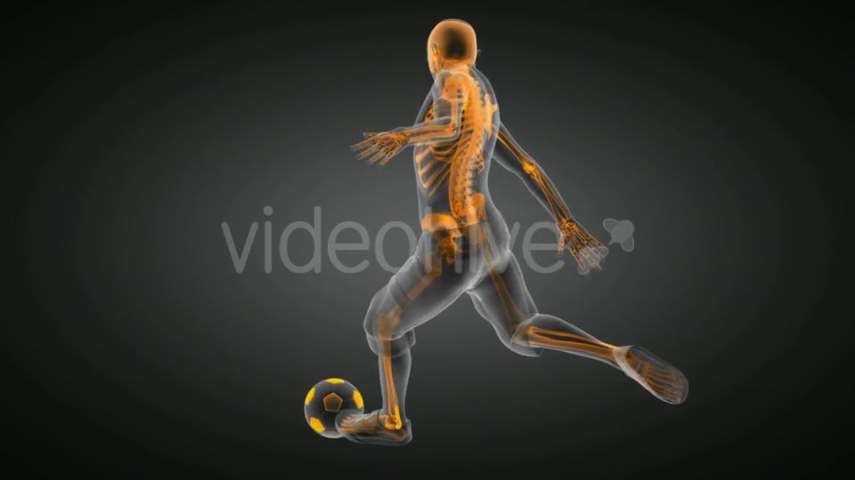 Soccer Game Player Videohive 19056763 Motion Graphics Image 5