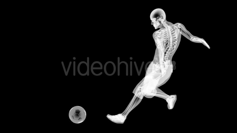 Soccer Game Player Videohive 19056763 Motion Graphics Image 6