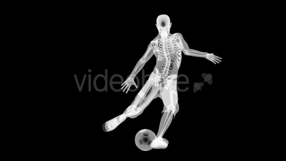 Soccer Game Player Videohive 19056763 Motion Graphics Image 7