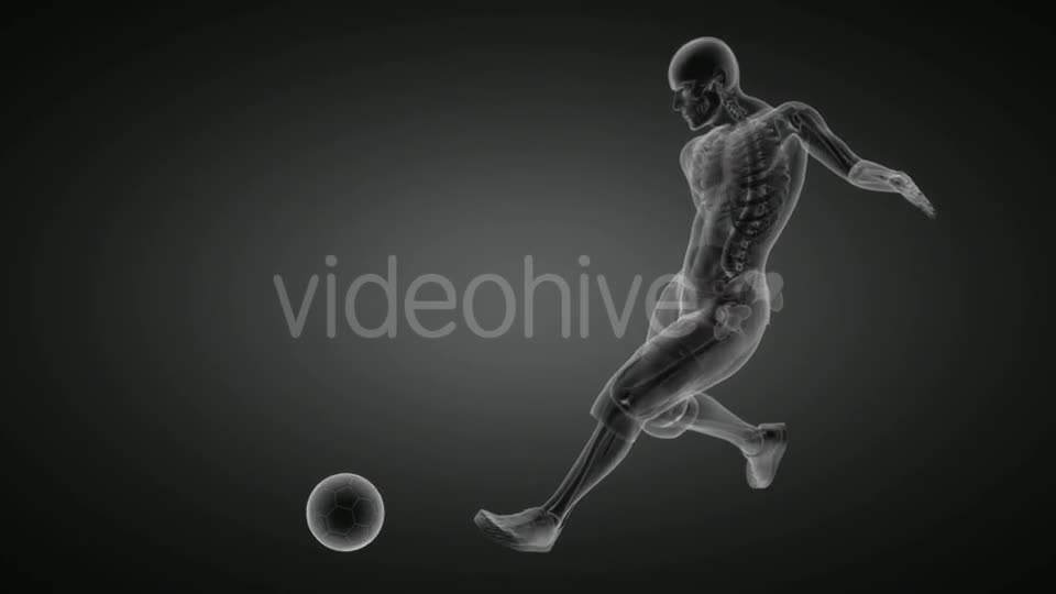 Soccer Game Player Videohive 19056769 Motion Graphics Image 1