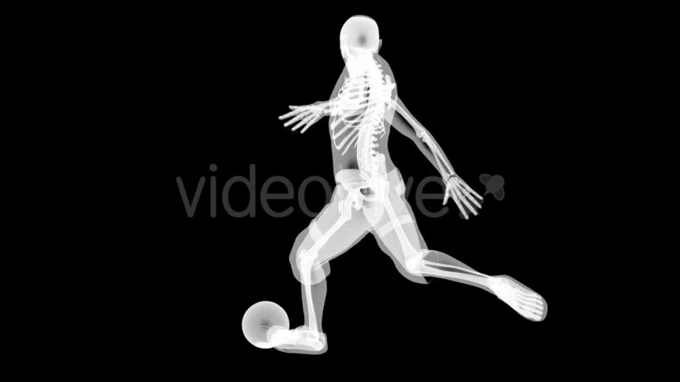 Soccer Game Player Videohive 19056769 Motion Graphics Image 10