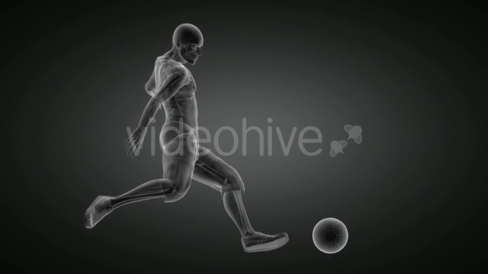 Soccer Game Player Videohive 19056769 Motion Graphics Image 3