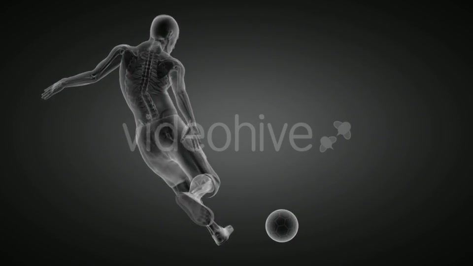 Soccer Game Player Videohive 19056769 Motion Graphics Image 4