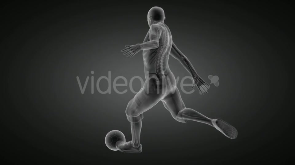 Soccer Game Player Videohive 19056769 Motion Graphics Image 5