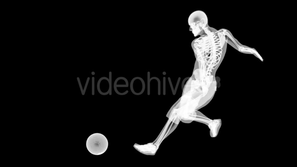 Soccer Game Player Videohive 19056769 Motion Graphics Image 6