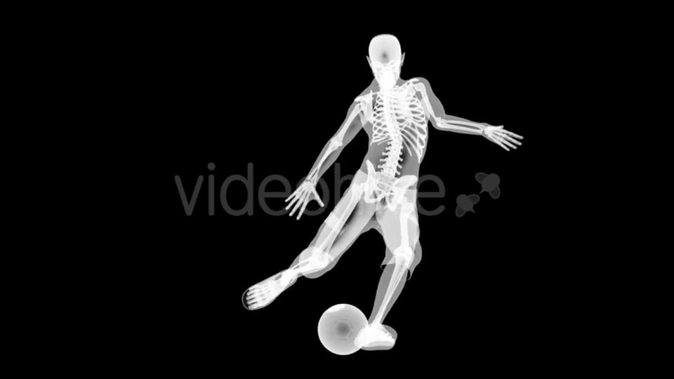 Soccer Game Player Videohive 19056769 Motion Graphics Image 7