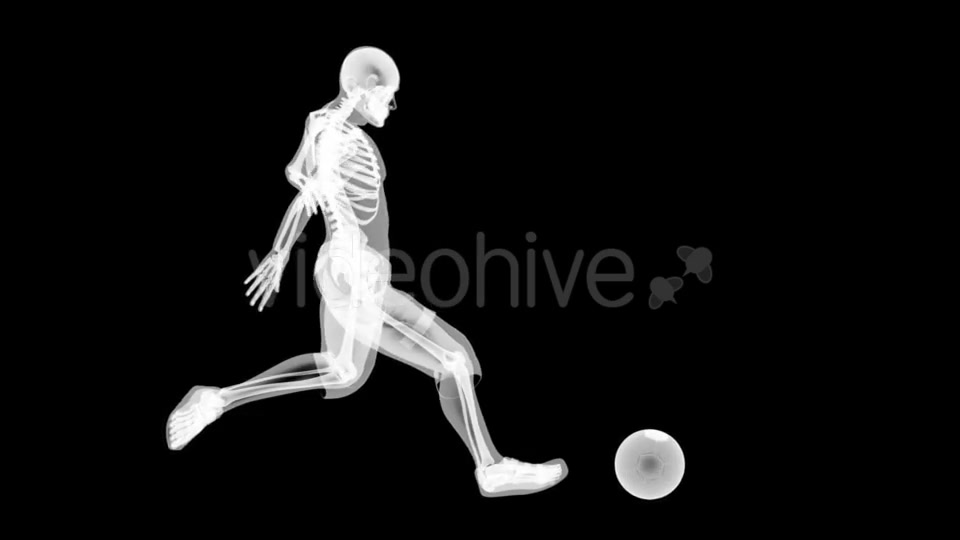 Soccer Game Player Videohive 19056769 Motion Graphics Image 8