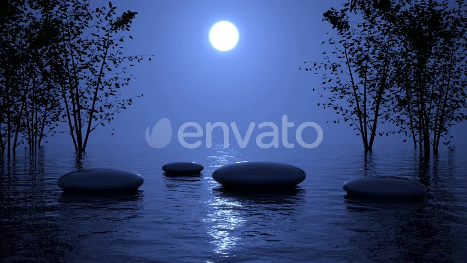 SPA night Videohive 24551599 Motion Graphics Image 4
