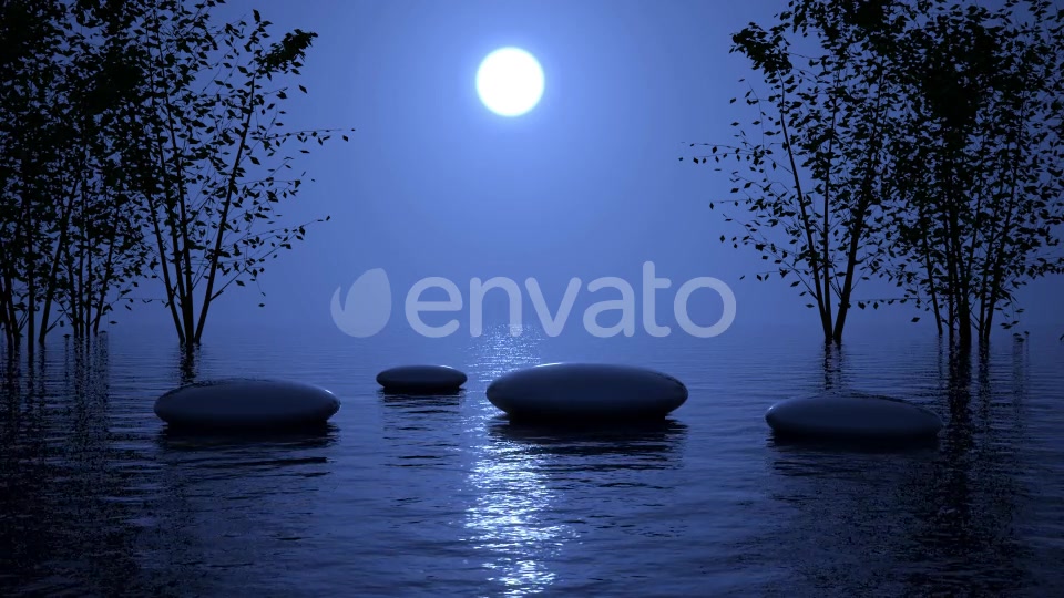 SPA night Videohive 24551599 Motion Graphics Image 5