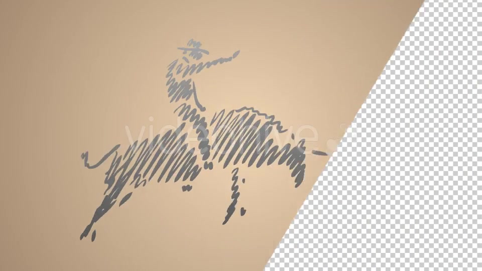 Spanish Hombre Riding a Bull Videohive 20755960 Motion Graphics Image 10