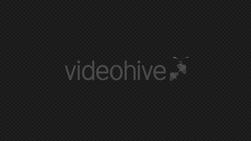 Sparrow Flying 3 Scene Videohive 19375431 Motion Graphics Image 5