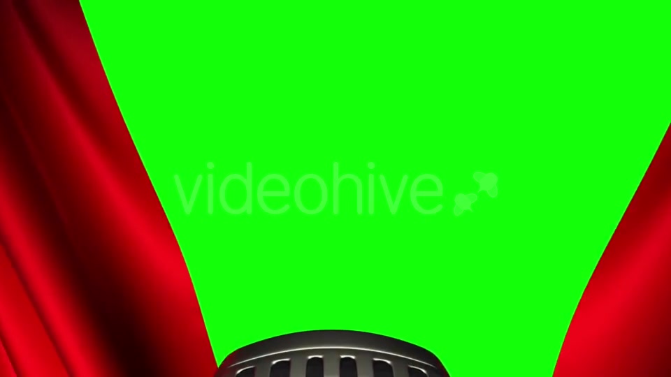 Speaker on Stage, Green Screen Videohive 19994234 Motion Graphics Image 5