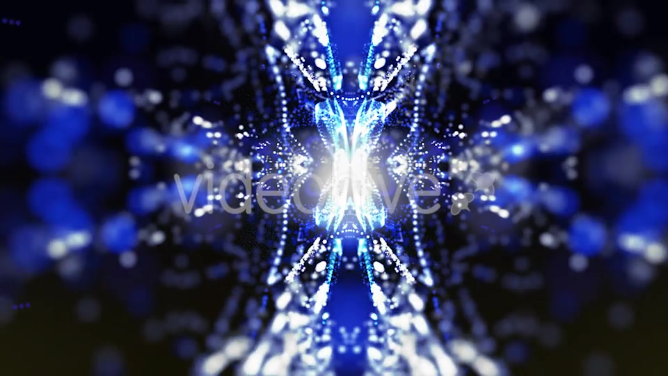 Spectacular Background Abstract Looped Crystal Butterfly Videohive 20062489 Motion Graphics Image 6