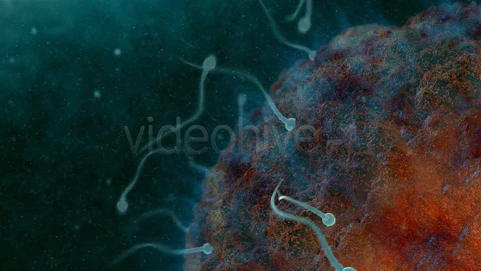 Sperm 02 Videohive 19281240 Motion Graphics Image 1