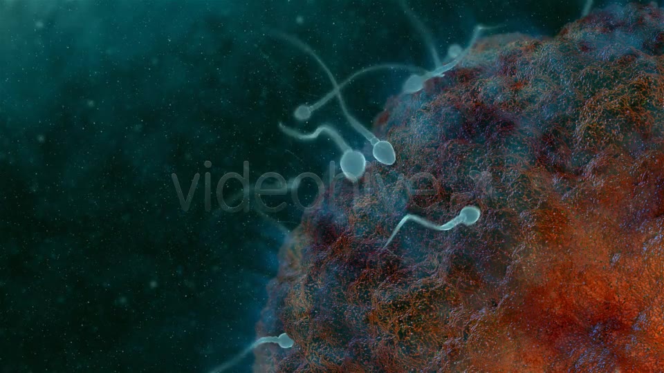 Sperm 02 Videohive 19281240 Motion Graphics Image 2