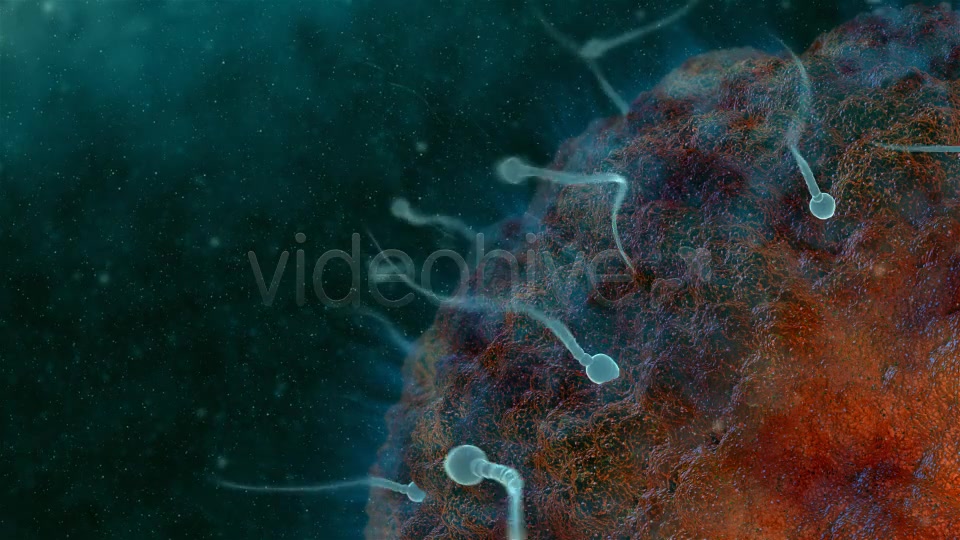 Sperm 02 Videohive 19281240 Motion Graphics Image 3