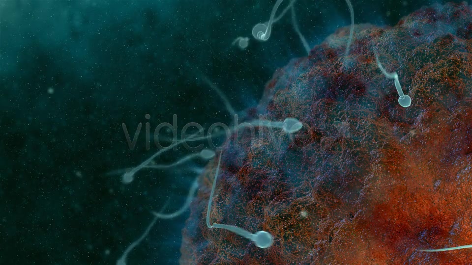 Sperm 02 Videohive 19281240 Motion Graphics Image 4