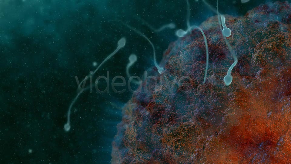 Sperm 02 Videohive 19281240 Motion Graphics Image 5