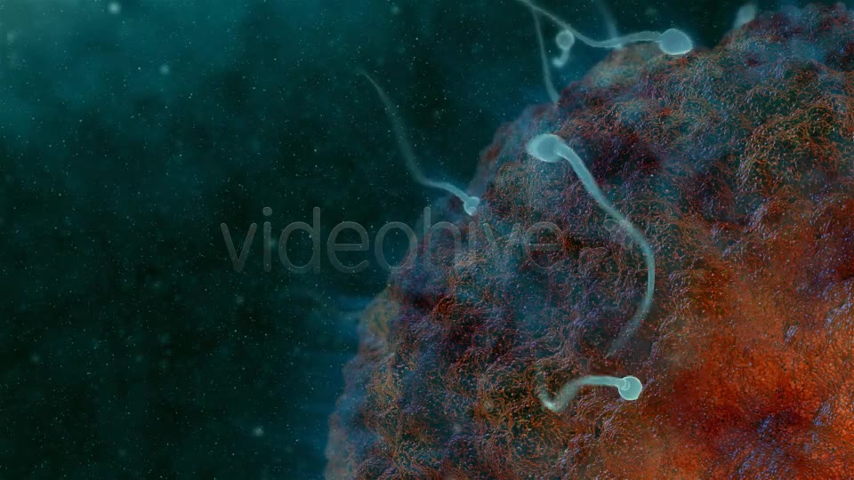 Sperm 02 Videohive 19281240 Motion Graphics Image 6