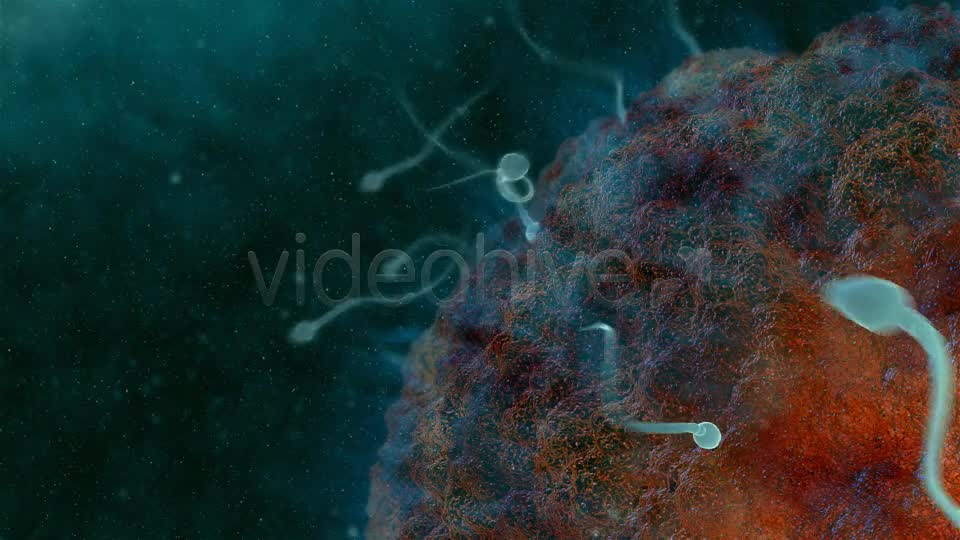 Sperm 02 Videohive 19281240 Motion Graphics Image 7