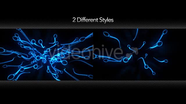 Sperm Swimming in 3D Videohive 15199176 Motion Graphics Image 1