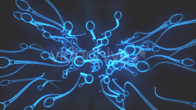 Sperm Swimming in 3D Videohive 15199176 Motion Graphics Image 2